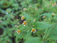 �n�L�_���M�N