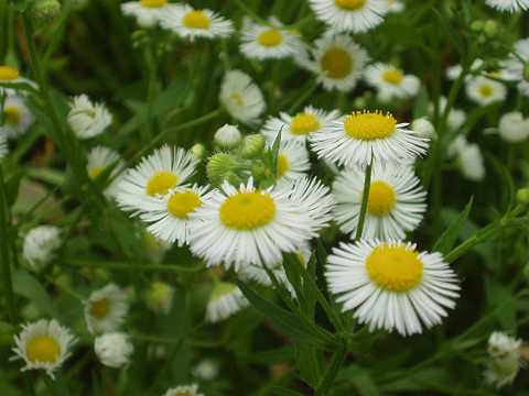 �q���W���I��