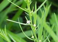 �J�i�r�L�\�E