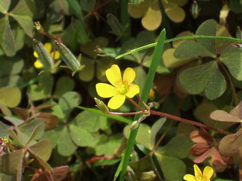 �A�J�J�^�o�~