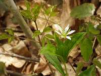 �q�Q�l���`�K�C�\�E