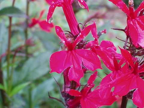 �x�j�o�i�T���M�L���E