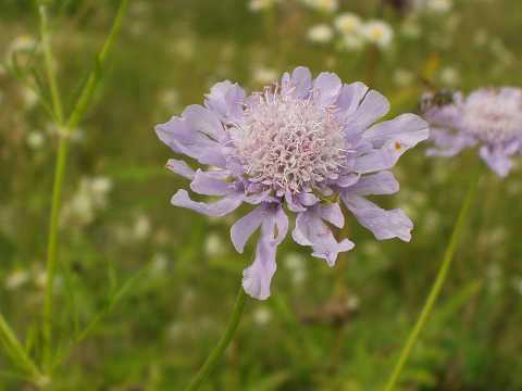 �}�c���V�\�E