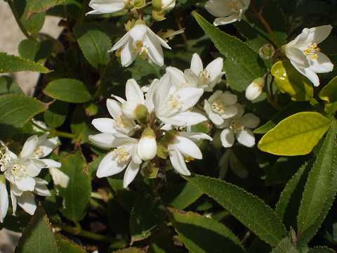 �q���E�c�M