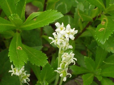 �C���n�^�U�I