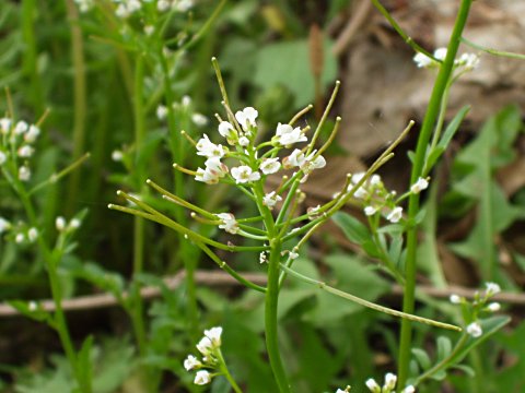 �I�I�o�^�l�c�P�o�i