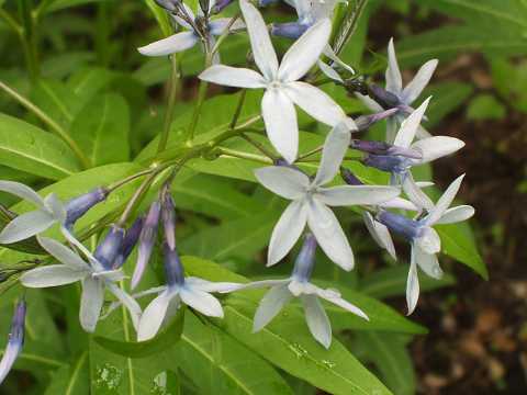 �`���E�W�\�E