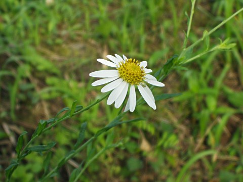 ���E�K�M�N