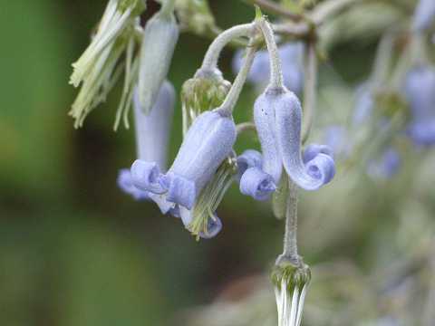 �N�T�{�^��