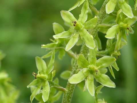 �A�I���M�\�E