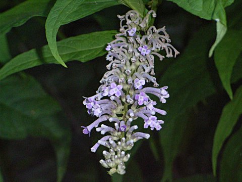 �t�W�E�c�M