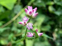 �}�}�R�m�V���k�O�C