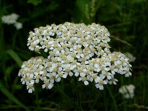 �m�R�M���\�E