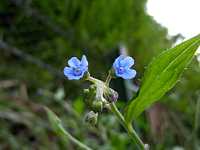 �I�j�����\�E