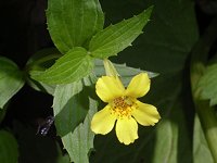 �I�I�o�~�]�z�I�Y�L