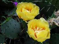 �E�`���T�{�e��