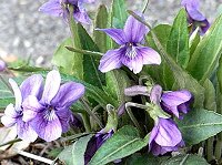 �m�W�X�~��