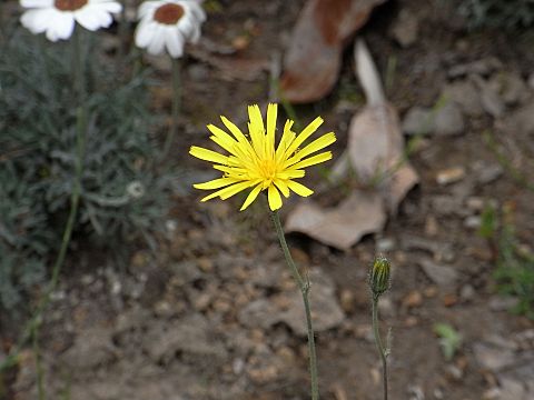 �E�Y���o�^���|�|