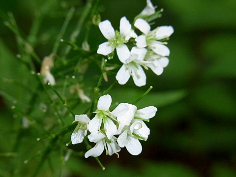 �R�������\�E