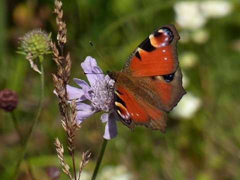 �}�c���V�\�E