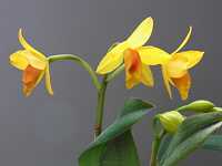 �~�j�J�g���A