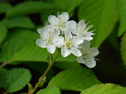 �~���}�U�N��