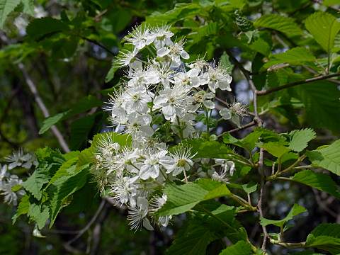 �~���}�U�N��