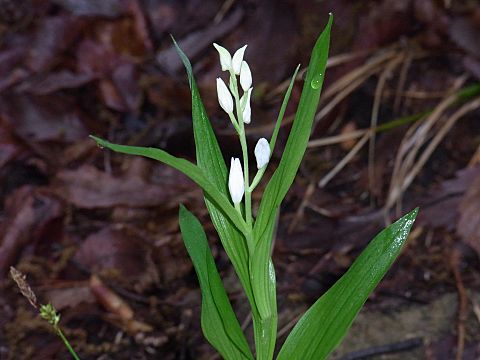 �T�T�o�M������