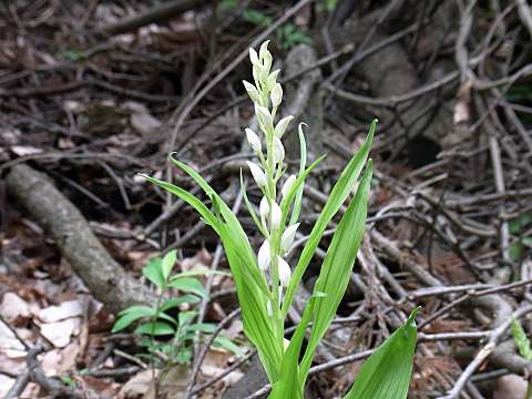 �T�T�o�M������