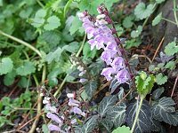 �g�E�S�N�V�\�o�^�c�i�~