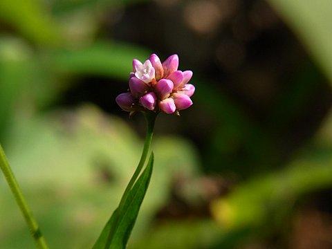 �A�L�m�E�i�M�c�J�~