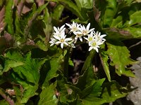 �^���`���E�\�E