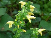 �L�o�i�A�L�M��