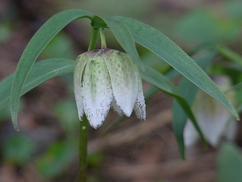 �R�V�m�R�o�C��