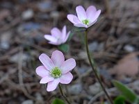 �~�X�~�\�E