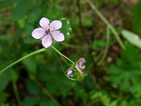 �^�`�t�E��