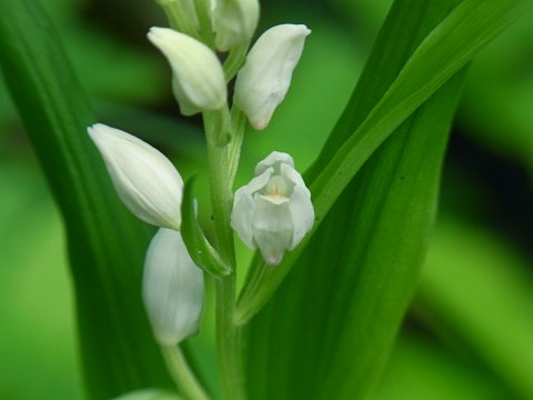 �T�T�o�M������