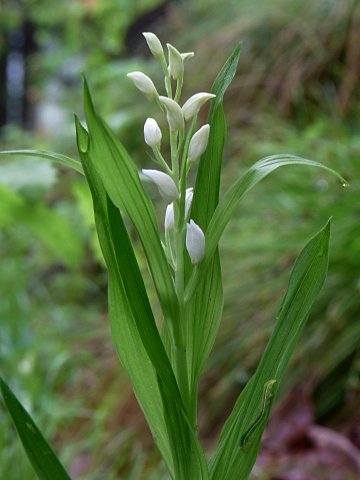 �T�T�o�M������