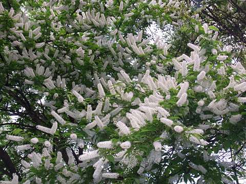 �E���~�Y�U�N��