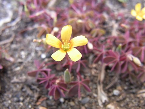 �A�J�J�^�o�~