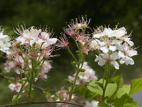 �~���}�U�N��