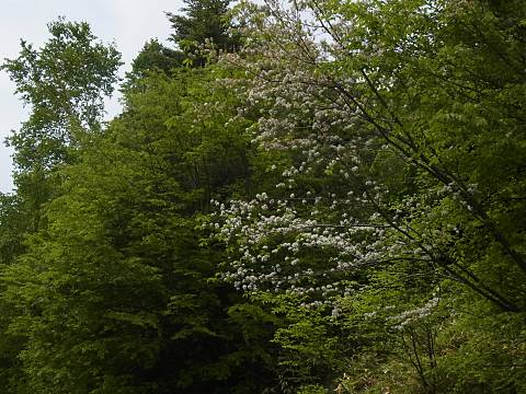 �~���}�U�N��