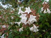 �n�i�]�m�c�N�o�l�E�c�M