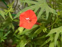 ���~�W�o���R�E�\�E