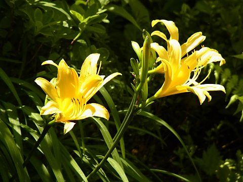 �j�b�R�E�L�X�Q