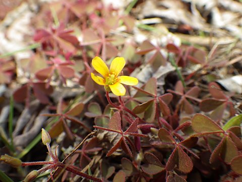 �A�J�J�^�o�~