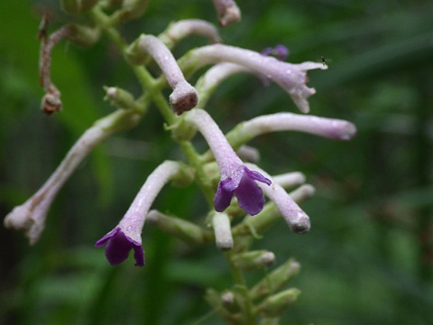 �t�W�E�c�M