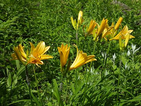 �j�b�R�E�L�X�Q