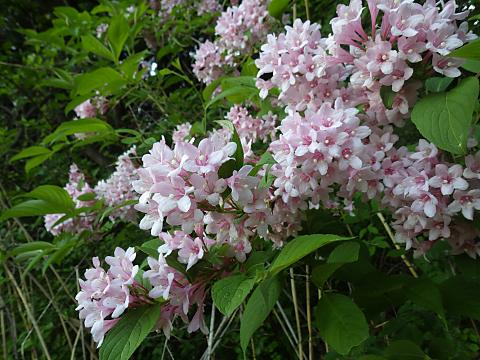 �^�j�E�c�M