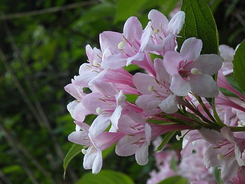 �^�j�E�c�M